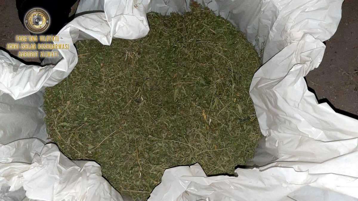 В Куштепинском районе выявлен человек, хранивший в своей квартире наркотик “марихуана”