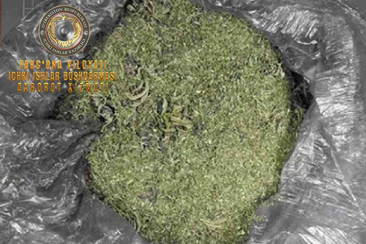 В Фуркатском районе задержан человек, хранивший наркотик марихуаны