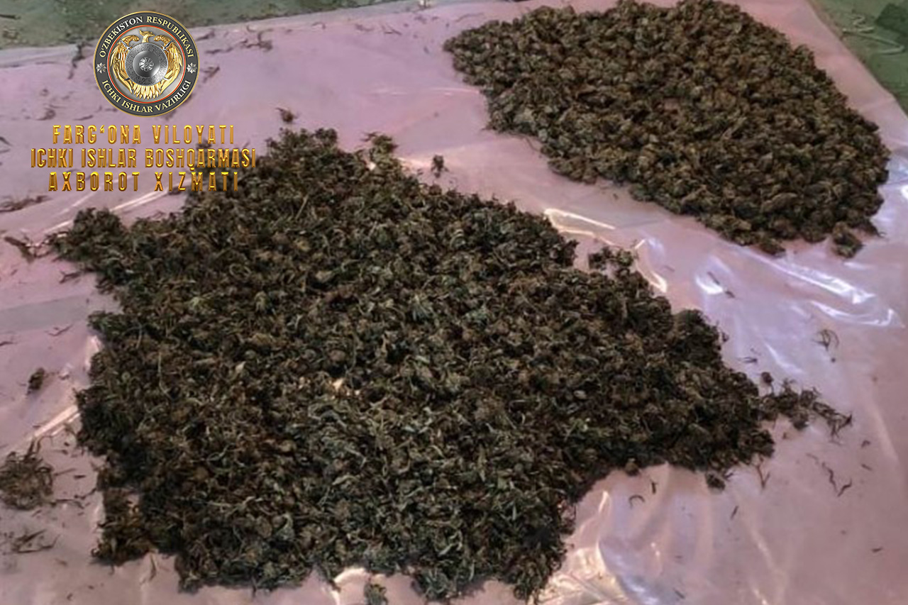 В Кувинском районе установлен человек, хранивший марихуану