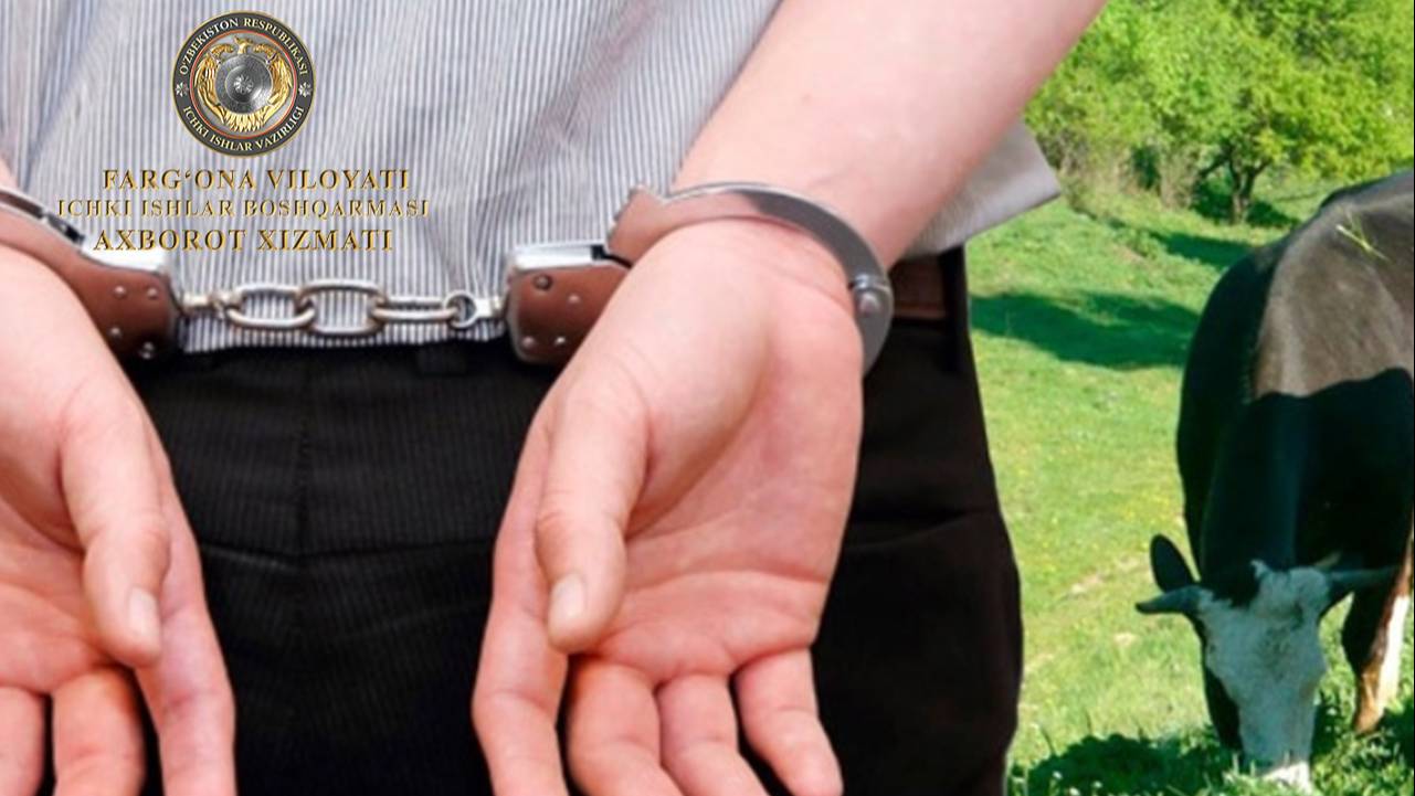 В Учкуприкском районе задержаны лица, похитившие одну голову крупного рогатого скота на су…