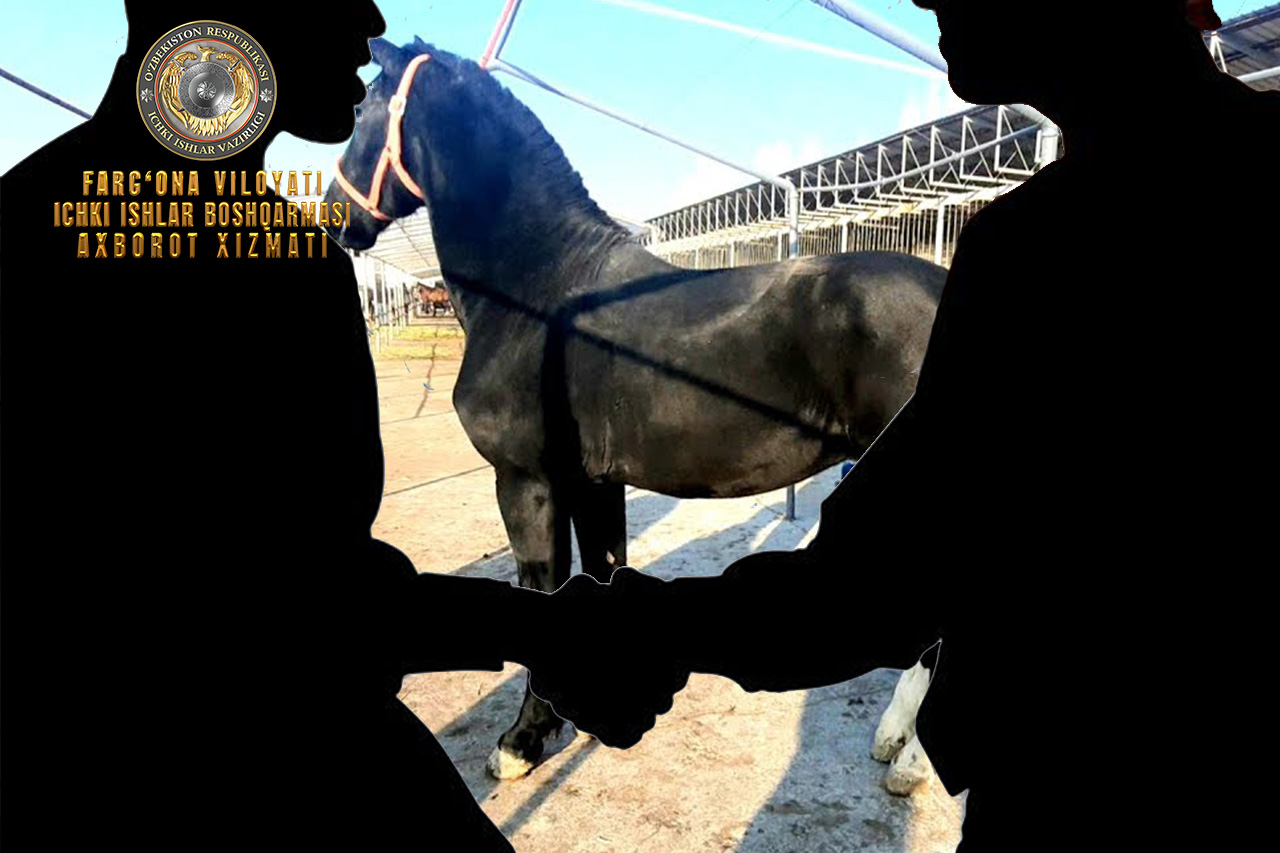 В Маргилане возбуждено уголовное дело в отношении лица, не заплатившего за купленную лошад…
