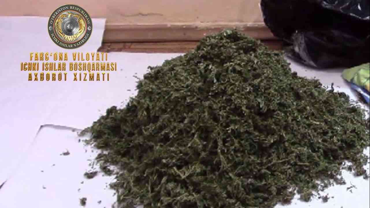 В Бешарыкском районе выявлено лицо, хранившее наркотическое средство «марихуана»