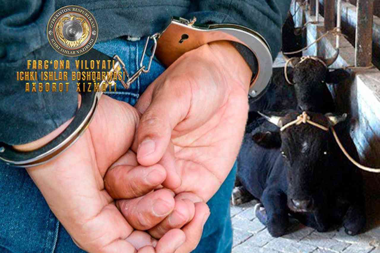 В Учкуприкском районе задержан похититель 2 голов крупного рогатого скота